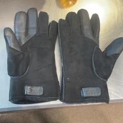 Handschoenen Zwart، كما تم الإبلاغ عنه بواسطة Burgers' Zoo عبر iLost