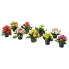 Prodotto IKEA Flores Amarillas, come riportato da IKEA Badalona utilizzando iLost