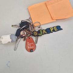 Nyckelring, rapporterat av Transdev Gooi en Vechtstreek med iLost