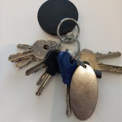 鍵 Sleutels met sleutelhangers がiLostで Arriva Limburg Zuid によって報告されました