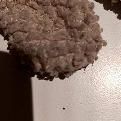 Peluche, come riportato da De Efteling utilizzando iLost