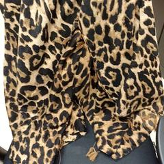 Sjaal Panterprint, zoals gemeld door Qbuzz GD Groningen Peizerweg met iLost