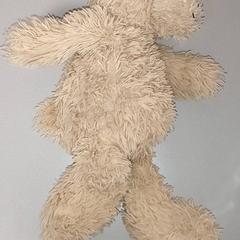 Verschiedene - Knuffel, gemeldet von Centraal magazijn über iLost