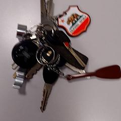 Schlüsselanhänger California, gemeldet von Vrije Universiteit Amsterdam über iLost