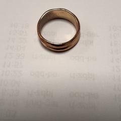 Anell, segons ha informat Transdev Hoeksche Waard Goeree Overflakkee mitjançant iLost