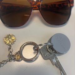 Klíč oa goudkleurige bloem en zonnebril, jak nahlášeno Gemeente Meierijstad pomocí iLost