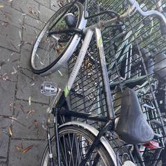 Fiets locomotief, iLost'a bildirildiği gibi