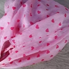 Torba, zgłoszono przez EBS Tramplein przy użyciu iLost