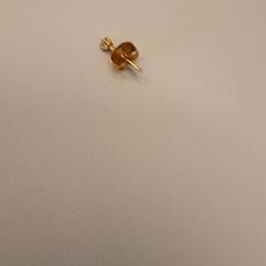 Arracada, segons ha informat Zuyderland MC Sittard-Geleen mitjançant iLost