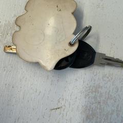 Llave, ha sido reportado por GVB con iLost