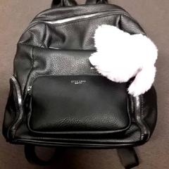 Ryggsekk, som rapportert av RET ved bruk av iLost