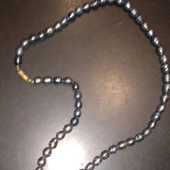 Halsband, rapporterat av TivoliVredenburg med iLost