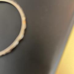 Polsera, segons ha informat De Tovertuin mitjançant iLost