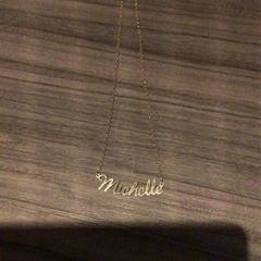 목걸이, iLost를 사용하여 Van der Valk Hotel Zwolle에 보고됨