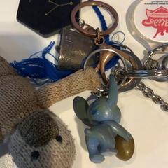 Brelok do kluczy, zgłoszono przez Gemeente Amsterdam przy użyciu iLost