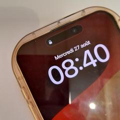 Mobilní telefon gris Apple, jak nahlášeno TCL pomocí iLost