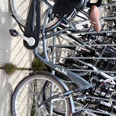 Bicicleta de mujer alfa, ha sido reportado por Stadswerk072 con iLost