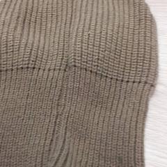 Beanie Bruin, amint azt Qbuzz Fryslân az iLost segítségével jelentette.