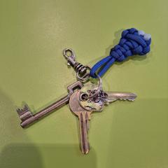 Estuche para chaves con chaves, segundo informou Gemeente Hardenberg usando iLost