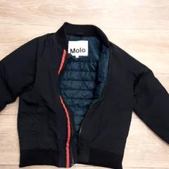 Bunda, ako bolo nahlásené Diergaarde Blijdorp pomocou iLost