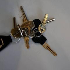 Clave Ford sleutel hanger eraan, segundo informou St. Antonius Ziekenhuis Nieuwegein usando iLost