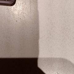 Attractiefoto piraña, segons ha informat De Efteling mitjançant iLost