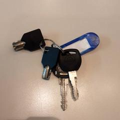 Sleutelbos vier sleutels Blauwe tag, come riportato da LUMC utilizzando iLost