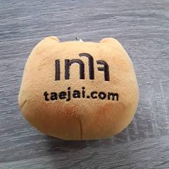 Sleutelhanger, segundo informou EBS Tramplein usando iLost