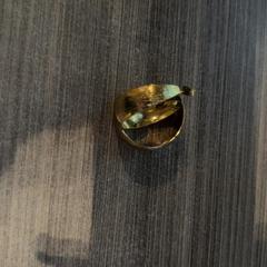 Ørering, som rapportert av Van der Valk Hotel Haarlem ved bruk av iLost