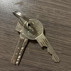 Sleutels، كما تم الإبلاغ عنه عبر iLost