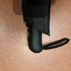 Aterkia tolesgarria noir, gisa salatu by TCL iLost erabiliz