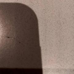 Watch, as reported by De Efteling using iLost