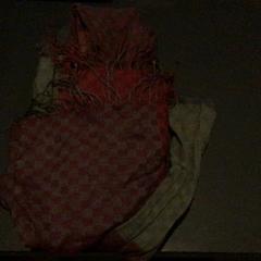 Bufanda, ha sido reportado por Van der Valk Hotel Amsterdam Zuidas con iLost