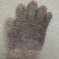 Rukavice grau, jak nahlášeno Schönbrunn "Group Center" pomocí iLost