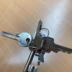 Giltza-giltza, gisa salatu by Gemeente Zutphen iLost erabiliz