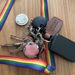 Sleutelbos, como reportado ao iLost