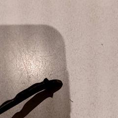 Eguzkitako betaurrekoak, gisa salatu by De Efteling iLost erabiliz