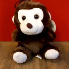 Knuffel, segundo informou Arriva Limburg Noord usando iLost