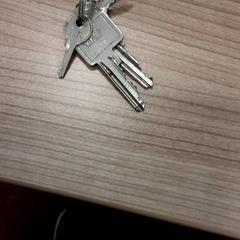 Portachiavi Metaal, come riportato da Arriva West-Brabant utilizzando iLost