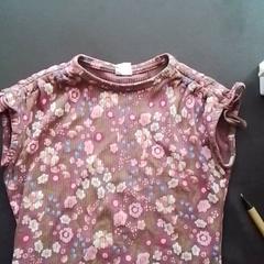 Kindershirt, come riportato da Apenheul utilizzando iLost