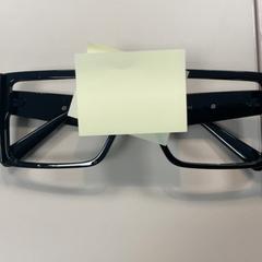 Dekobrille, a été signalé par Movie Park Germany utilisant iLost