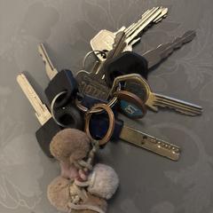 Sleutels, gerapporteerd met iLost