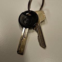 Schlüsselanhänger 2 sleutels, gemeldet von Gemeente Hilversum über iLost