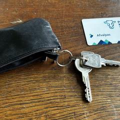 Zwarte damesportemonnee met sleutels + afvalpas, iLost에 보고됨