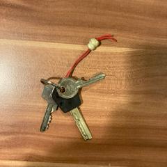 Sleutels, ha sido reportado por Pathé Haarlem con iLost