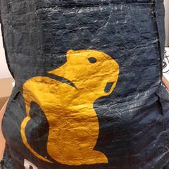 حقيبة حمل، كما تم الإبلاغ عنه بواسطة Grand Hotel Amrath Kurhaus عبر iLost