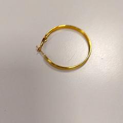 Ohrring, gemeldet von Vrije Universiteit Amsterdam über iLost