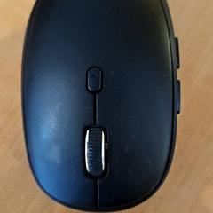 ねずみ がiLostで Gemeente Zutphen によって報告されました