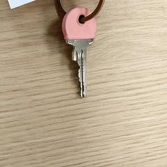 열쇠, iLost를 사용하여 Regio Antwerpen - Brussel에 보고됨