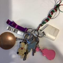 Sleutels, zgłoszono przez Gemeente Amsterdam przy użyciu iLost